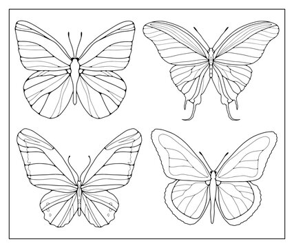 Set of four contours of butterflies on a white background. Butterfly silhouette for coloring books, designs and patterns.