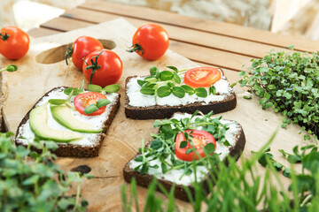 Sandwiches with tomatoes and microgreens on goat cheese lie on a wooden board. Nearby are many trays with microgreens and tomatoes.