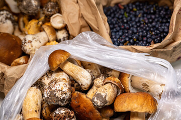 A bag of freshly picked Karl-Johan mushrroms and blueberries from the forest on a table.