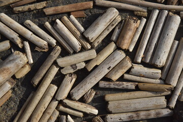 Close-up of wached-up debree from the ocean in Yyteri, Pori