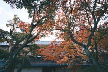 京都　祇園の風景