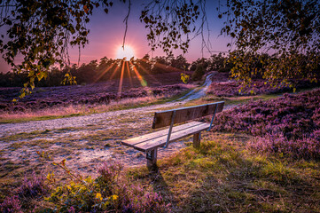 Lüneburger Heide - Take a seat for sunset