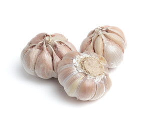 Garlic Isolated on white background