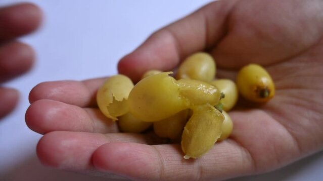 Azadirachta indica fruits.
 It's other names Neem,&nbsp;nimtree&nbsp;or&nbsp;Indian lilac. Its fruits are the source of&nbsp;neem oil. Many aruvedic medicines are made from its  seeds and fruits. 
