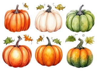 A set of cute watercolor halloween and thanksgiving pumpkins isolated on white background