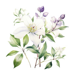 Watercolor botanical illustration on transparent background. Generative AI