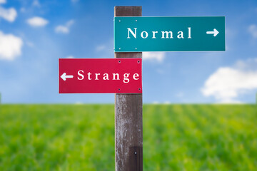 Street Sign the Direction Way to Normal versus Strange.