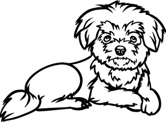 Maltese dog - Lying dog vector stock isolated illustration on white background.