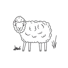 Cute sheep standing hand drawn engraving style sketch Vector illustration