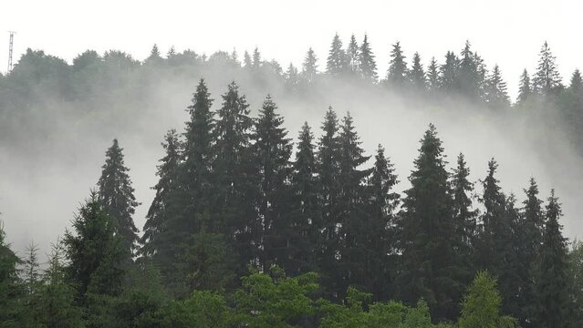 Storm Raining Clouds, Fog in Mountains on Rainy Cloudy Day, Stormy Mist Smoke Mystical Foggy Forest, Alpine Wood Overcast Timelapse
