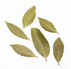 Bay leaf on white background