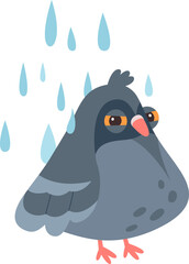 Pigeon Character Under Rain