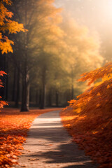 Autumn Leaves background depth of field wallpaper