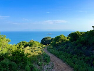 blue sea in the grass background