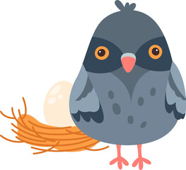 Pigeon Baby With Nest