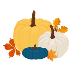 Cute autumn postcard. different ripe pumpkin and autumn leaves. vector illustration. harvest day, halloween