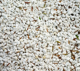 Snow-white stones on the seashore. Suitable for background.