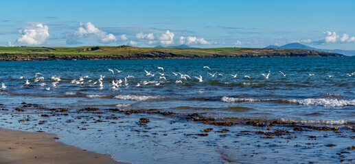 walking around the beach village of Rhosneigr, Isle of Anglesey