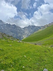 Fototapeta premium green slopes of grass in the mountains