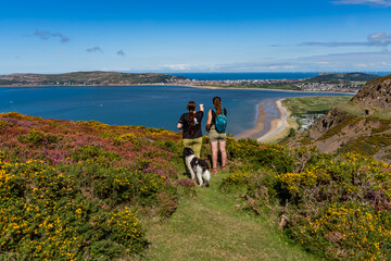 Views around Conwy Mountain and some paragliders