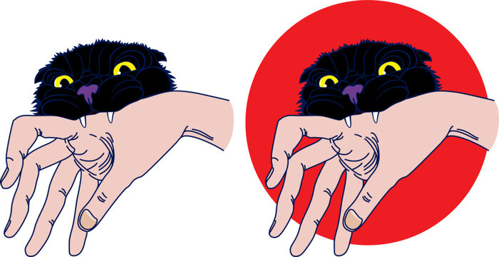 black cat bites a human hand drawing