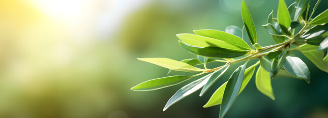 Fototapeta premium Green Leaves Nature Photography Generative ai