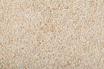 Fototapeta na wymiar Texture of Calasparra rice or arroz calasparra, close-up. Design element. Spanish processed white bomba rice for paella with exceptional culinary qualities. Natural Organic Product