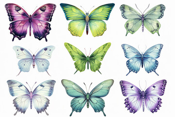 set of butterflies isolated. Butterflies collection isolated on white background. Watercolor illustration.

