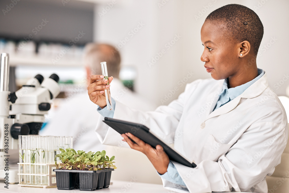 Sticker Scientist, test tube and plants on tablet for laboratory research, agriculture and sustainability analysis. African woman or student in science with leaf, growth and eco study on digital technology