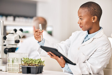 Scientist, test tube and plants on tablet for laboratory research, agriculture and sustainability...