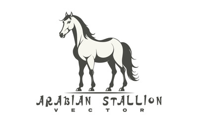 Vector monochrome graphic graceful chic fast Arabian stallion. Logo or emblem. White isolated background.