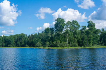 waterscape, wooded shore of the lake, view from the water on a sunny day