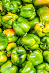 Obraz na płótnie Canvas fresh green bell peppers close up for sale at a street market shot on toronto's spadina avenue