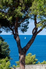 View from the top of the hill of the Old Town, Rovinj, Istria, Croatia