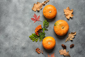 Autumn composition. Pumpkins and dry autumn leaves, gray concrete background. Top view, flat lay.