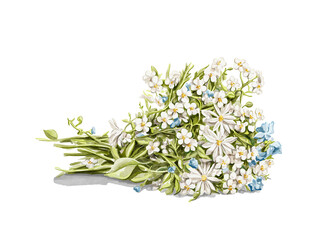 Green bouquet bunch of wildflowers with daisies chamomile isolated on white background. Watercolor hand drawn illustration sketch