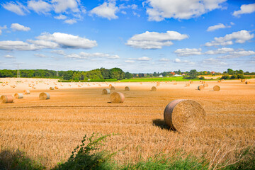 Fototapeta premium Wistful autumnal melancholy in Sprotbrough, Doncaster.