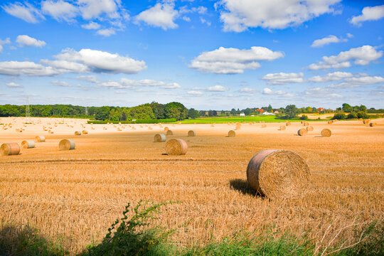 Wistful autumnal melancholy in Sprotbrough, Doncaster.