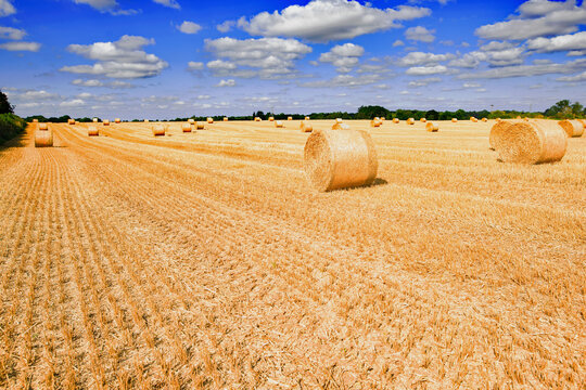 Sprotbrough Hay Bales in August.