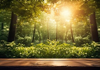 Wooden table in front of green forest with sunbeams.
