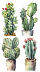 Naklejka premium cactus isolated on white. Generate AI