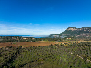Aerial view, Spain, Balearic Islands, Mallorca, Valldemossa, agricultural property