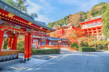 Saga, Japan - Nov 28 2022: Yutoku Inari shrine in Kashima City, Saga Prefecture. It's one of Japan's top three shrines dedicated to Inari alongside Fushimi Inari in Kyoto and Toyokawa Inari in Aichi - 636293552