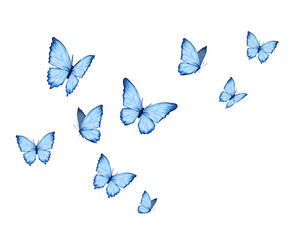 watercolor butterfly hand drawn design