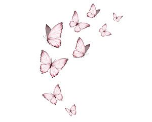 watercolor butterfly hand drawn design