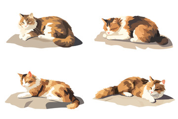 homeless cat isometric vector flat minimalistic isolated illustration