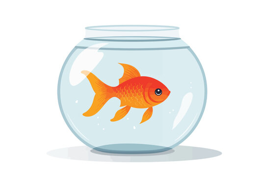 Goldfish Bowl vector flat minimalistic isolated illustration