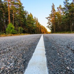 road in autumn forest