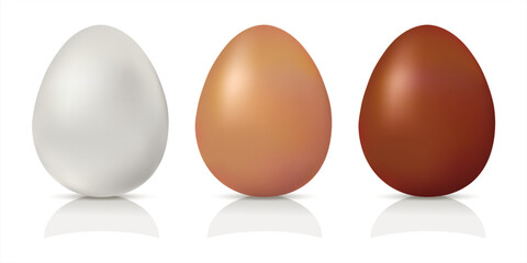 Set of realistic dark, light brown and white  whole chicken eggs. 3d Mockup color organic eggs. Vector illustration isolated on white background. Natural white and brown eggs for Easter.