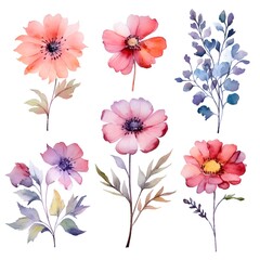 Watercolor garden flower illustration set isolated on white background. Botanic, floral element collection for greeting card, invitations, wedding, birthday designs